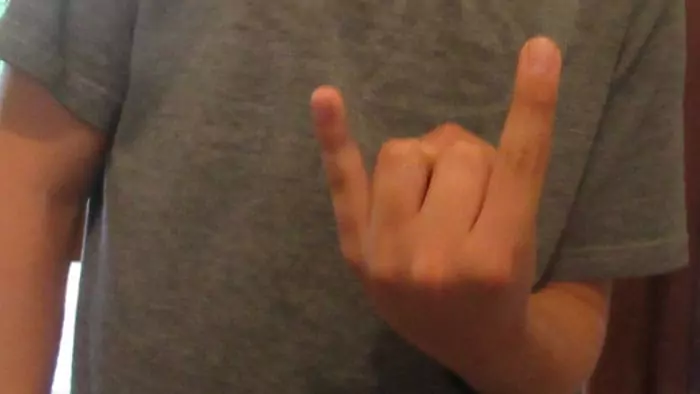 Rock on hand gesture