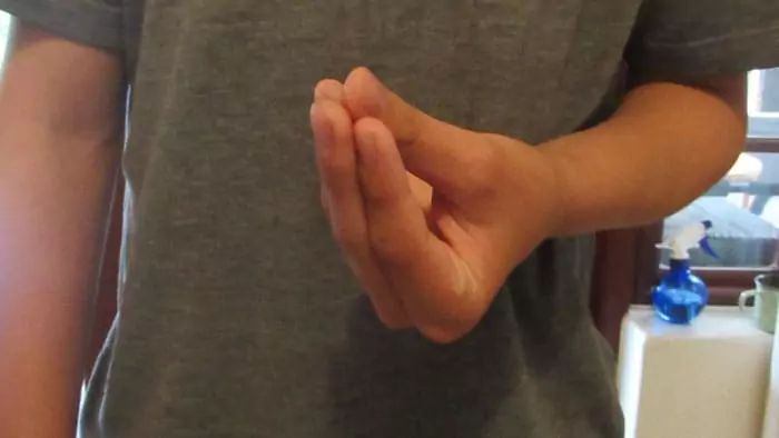 This hand sign