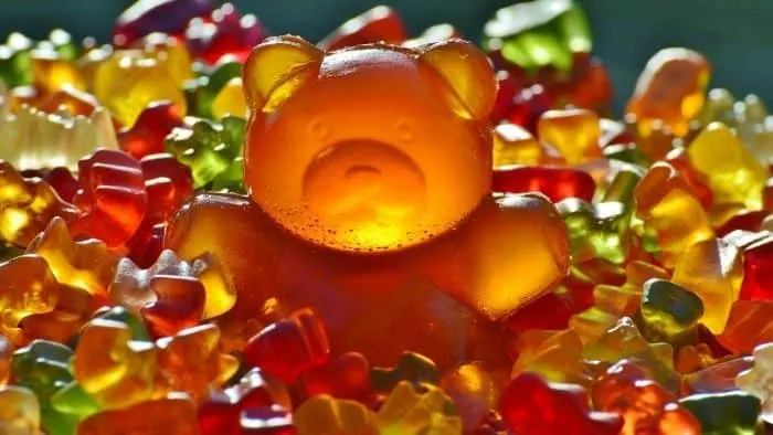 gummy bear contest teens