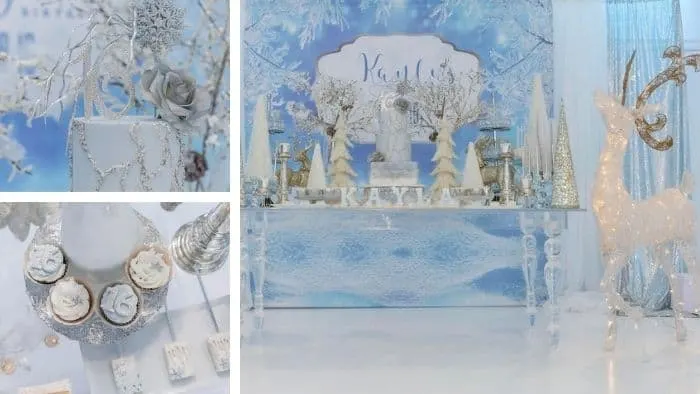 Winter Wonderland Theme