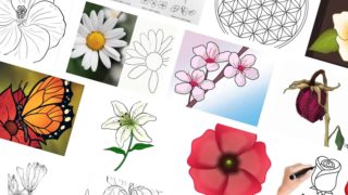 easy flower drawing tutorials