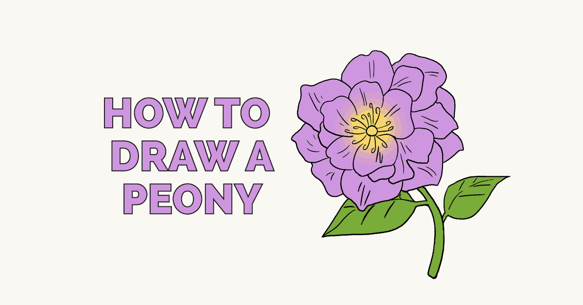 How To Draw A Peony