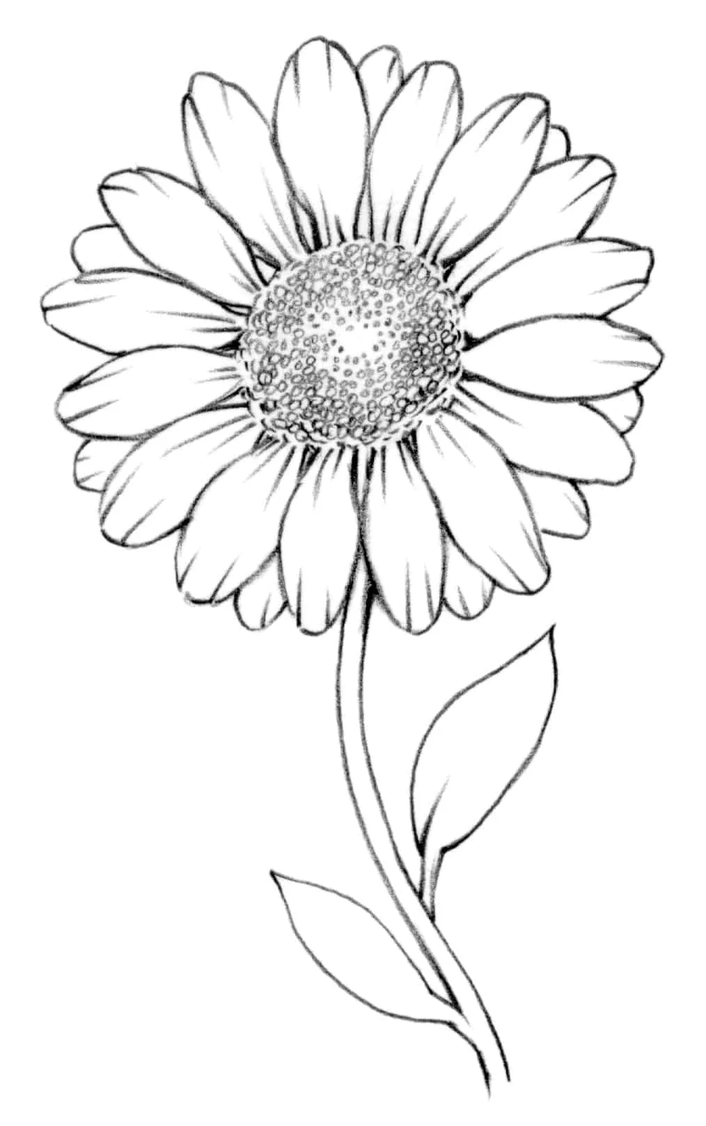 How To Draw A Flower