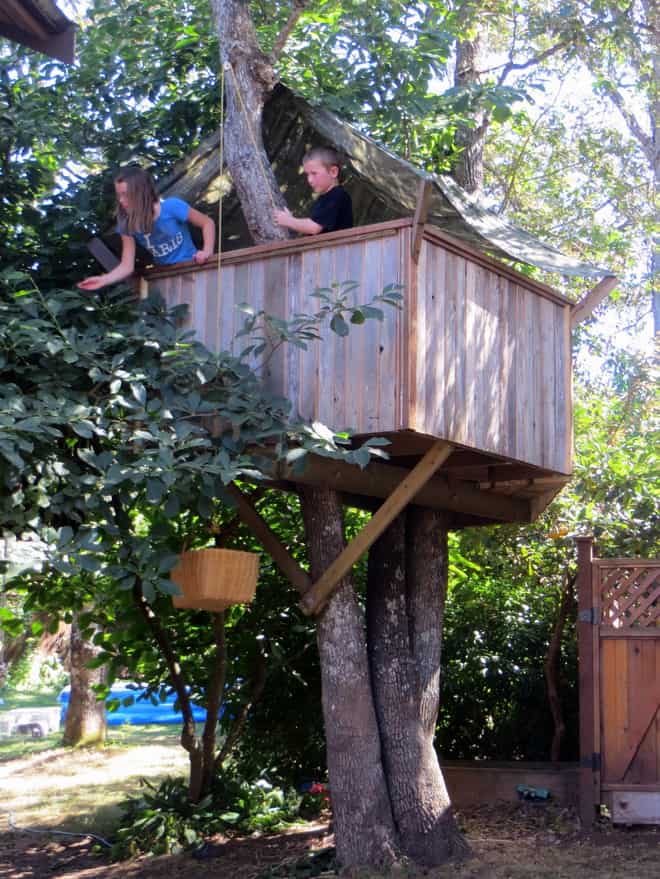 diy treehouse