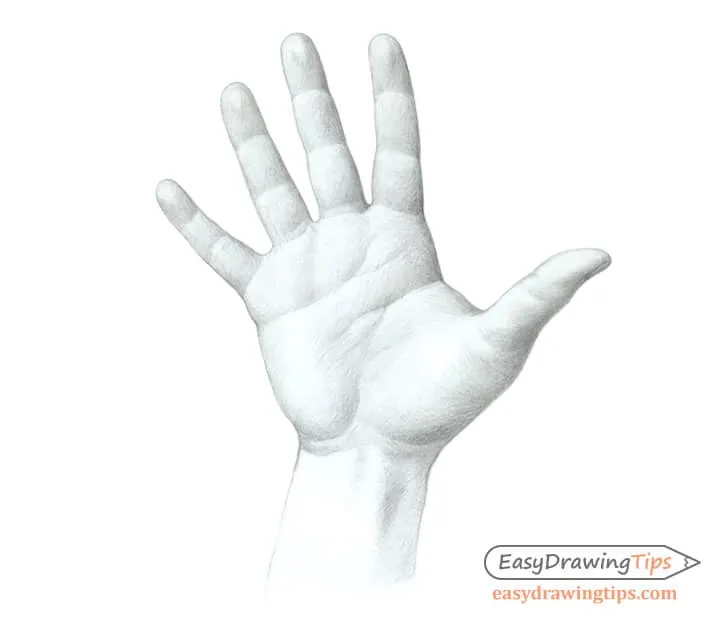 hand drawing open palm