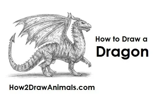 How To Draw A Dragon