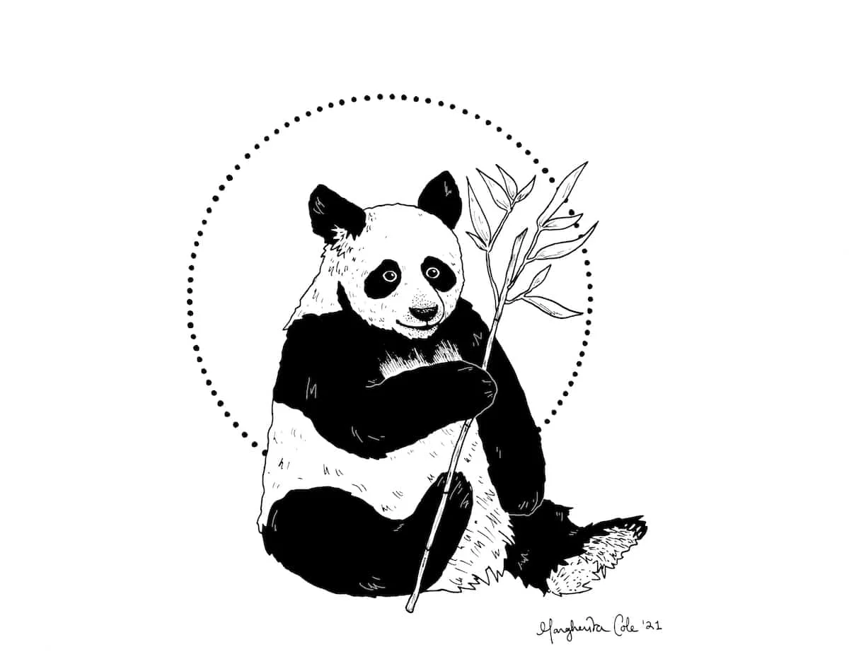 how to draw panda 11