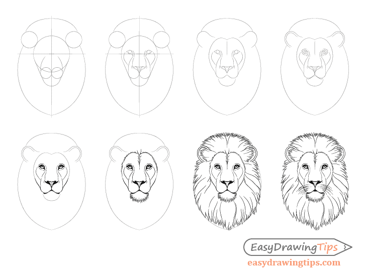 how to draw a lion