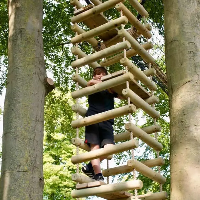 treehouse ladder ideas