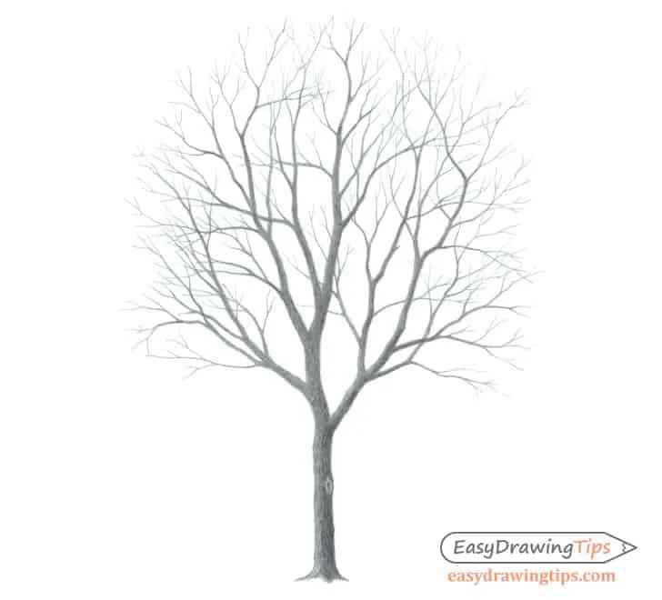 easy things to draw a tree without leaves