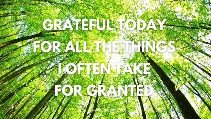 Special Things To Be Grateful For