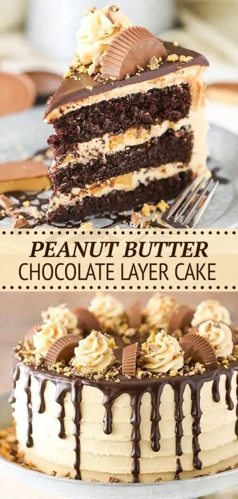 Peanut butter chocolate cake