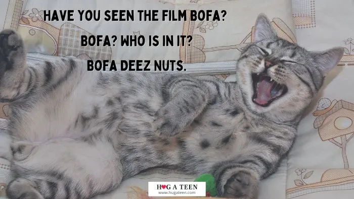 Bofa Deez Nuts Jokes