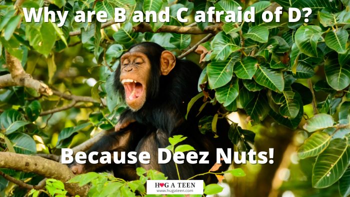 Clever Deez Nuts Jokes