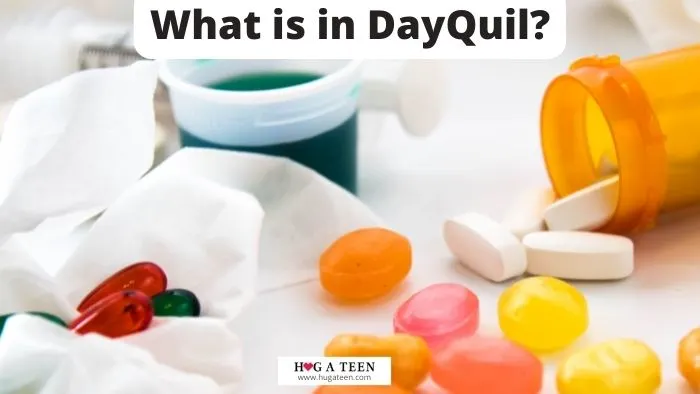 What is in DayQuil
