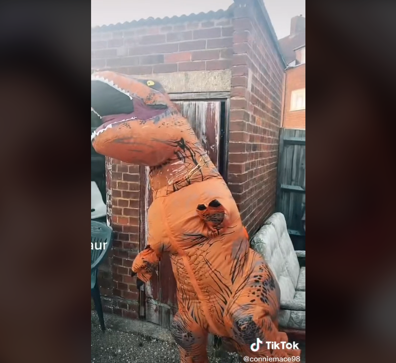 Inflatable Dinosaur costume