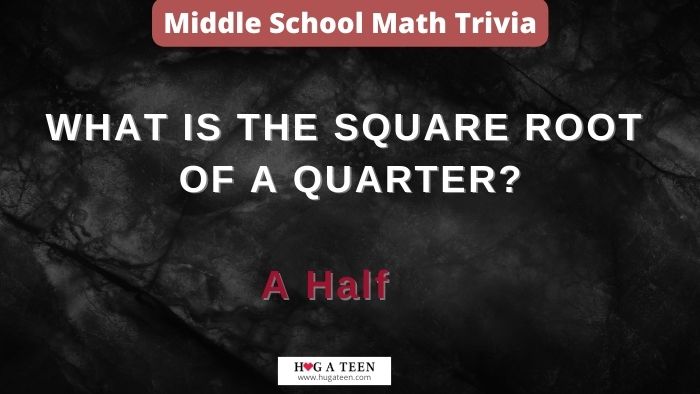 Middle School Math Trivia