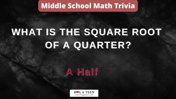 Middle School Math Trivia