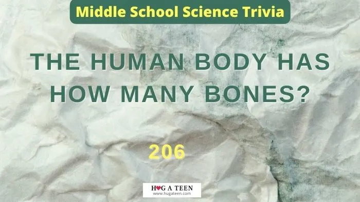 Middle School Science Trivia