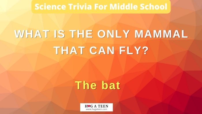 Science Trivia For Middle School