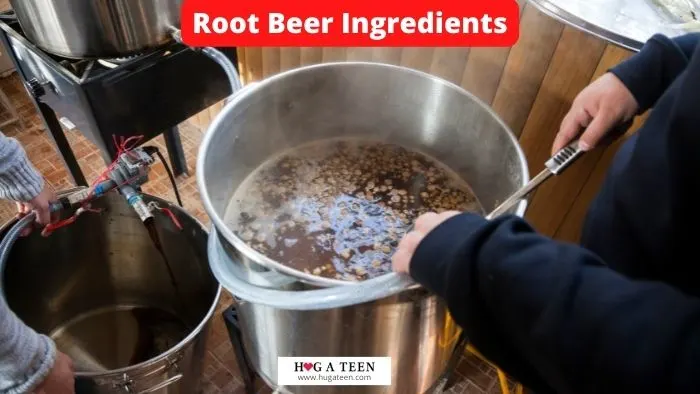 Root Beer Ingredients