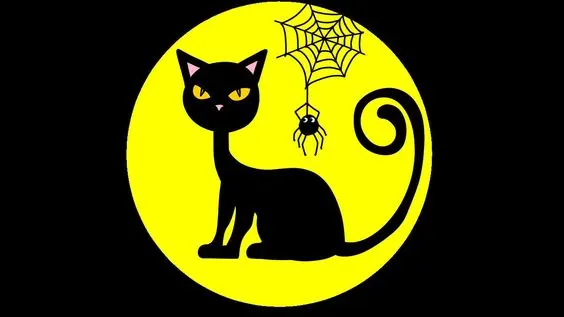Black Cat - Cute Halloween Drawings