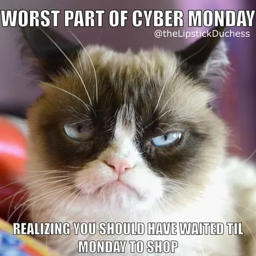 Cyber Monday Memes - worstpart