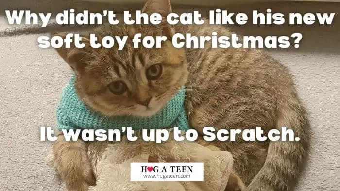 Christmas Cat Jokes