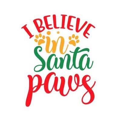 Dog Christmas Sayings - i believe in santa paws