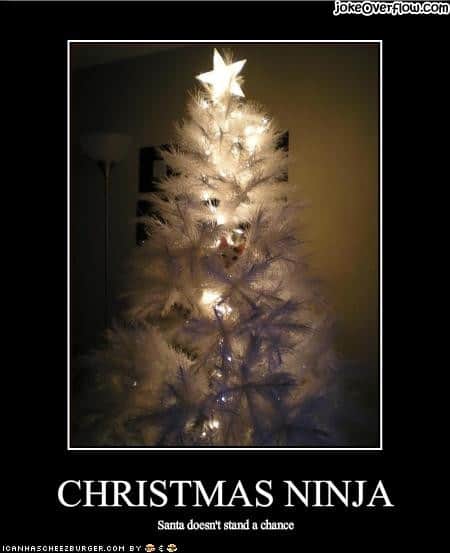 Christmas cat ninja