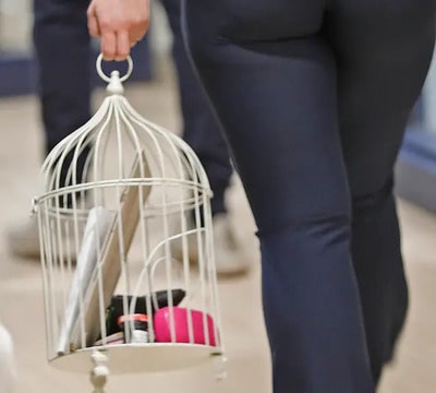 birdcage backpack