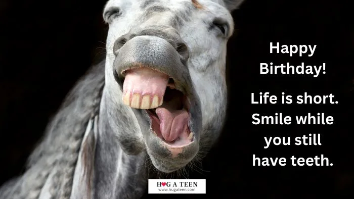 Short Funny Birthday Wishes - horse laughing showing teeth